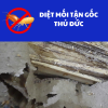 Diệt mối tận gốc Thủ Đức