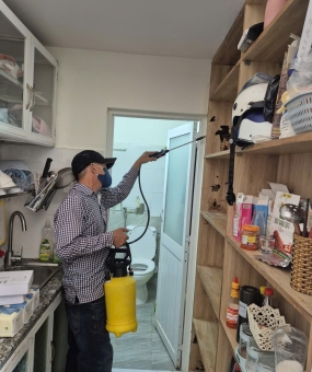 Diệt mối tận gốc ở quận 3