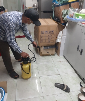 Diệt Mối Tận Gốc Tại Gò Vấp | Uy Tín - Hiệu Quả