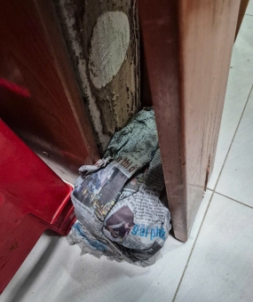 Dịch Vụ Diệt Côn Trùng Tại Vũng Tàu