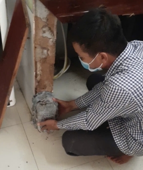 Dịch vụ diệt mối tận gốc Hóc Môn