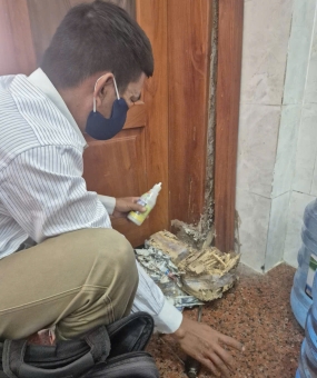 Diệt mối bình chánh: Giải pháp hiệu quả ngăn ngừa mối tấn công