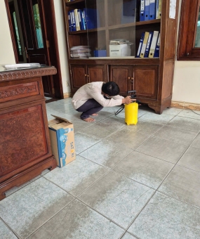 Diệt mối tại nhà Quận 3: An toàn, nhanh chóng, không để lại mối mọt