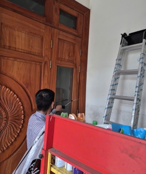 Diệt mối tại nhà Quận 6 – Giải pháp nhanh chóng, hiệu quả triệt để