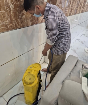 Diệt mối tại nhà Quận 8 triệt để – Chấm dứt nỗi lo mối mọt