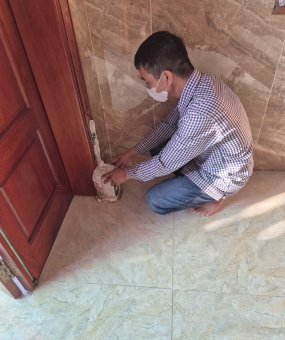 Top lợi ích khi sử dụng dịch vụ diệt mối tại nhà Tân Bình uy tín