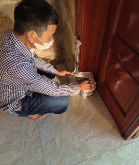 Dịch vụ diệt mối tại nhà Quận 10 uy tín, an toàn và hiệu quả