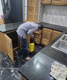 Địa chỉ cung cấp dịch vụ diệt mối tại nhà Quận 12 giá tốt, chuyên nghiệp