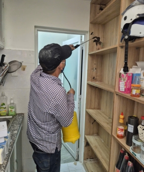 Dịch vụ diệt mối Vũng Tàu giá rẻ, chuyên nghiệp hàng đầu năm 2025