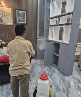 Công ty diệt mối tại Vũng Tàu chuyên nghiệp – Báo giá rõ ràng, thi công nhanh chóng