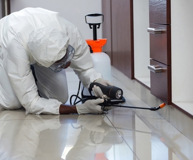 DIỆT MỐI TẬN GỐC XÃ PHÚ XUÂN HUYỆN NHÀ BÈ