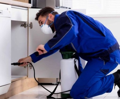 THỰC TẾ DIỆT MỐI HÓA SINH