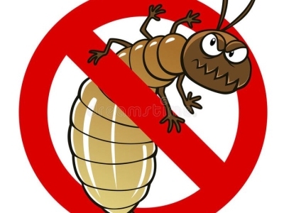 TẠI SAO LẠI CÓ MỐI TRONG NHÀ