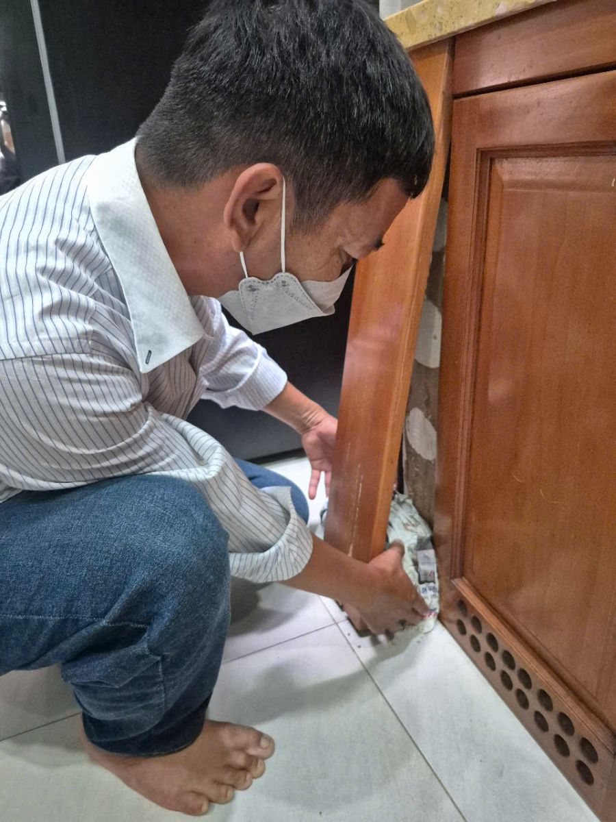 diệt mối uy tín vĩnh long