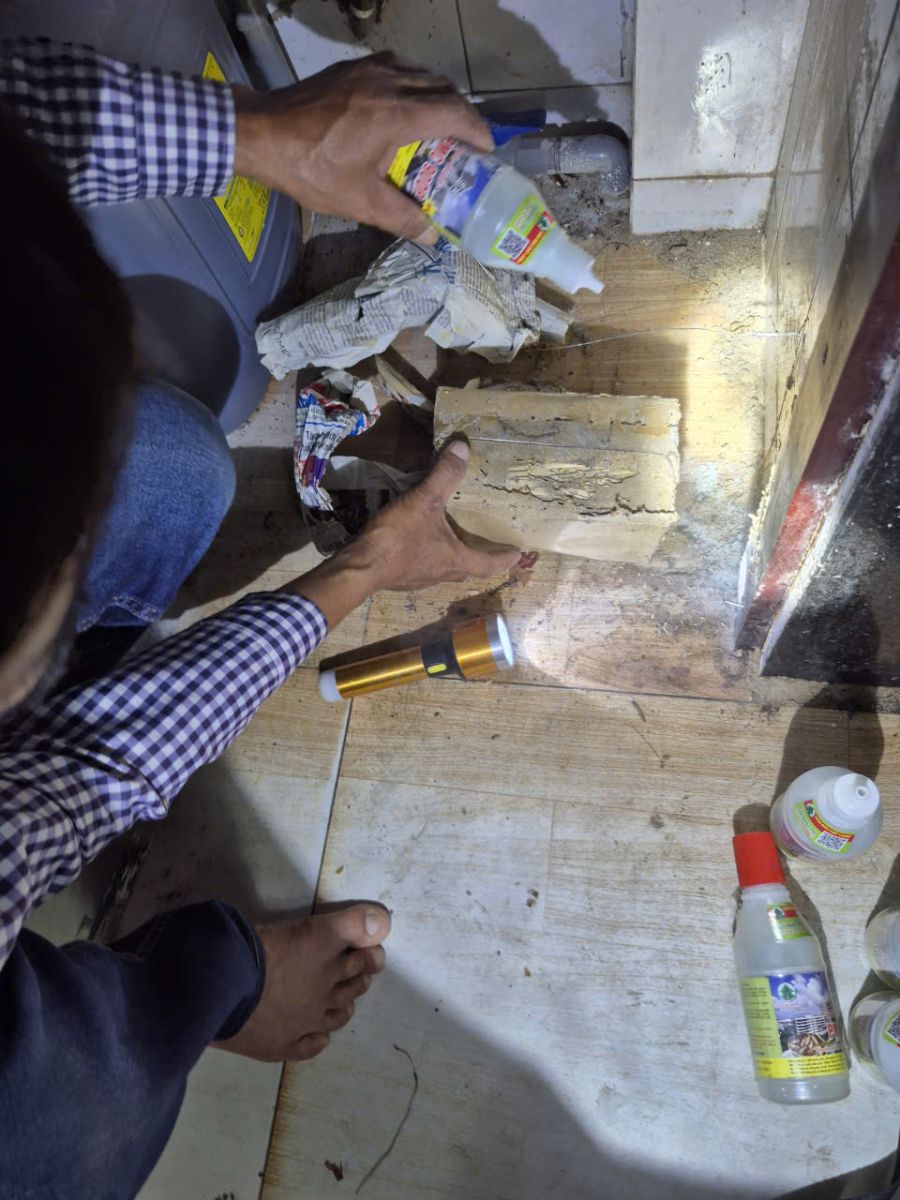 Diệt Côn Trùng THủ Đức