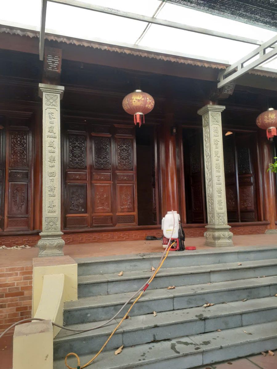 Diệt mối tận gốc quận 12