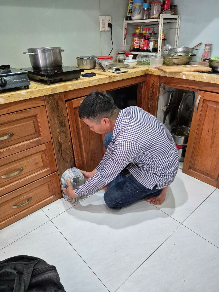 Dịch vụ diệt côn trùng tại Vũng Tàu
