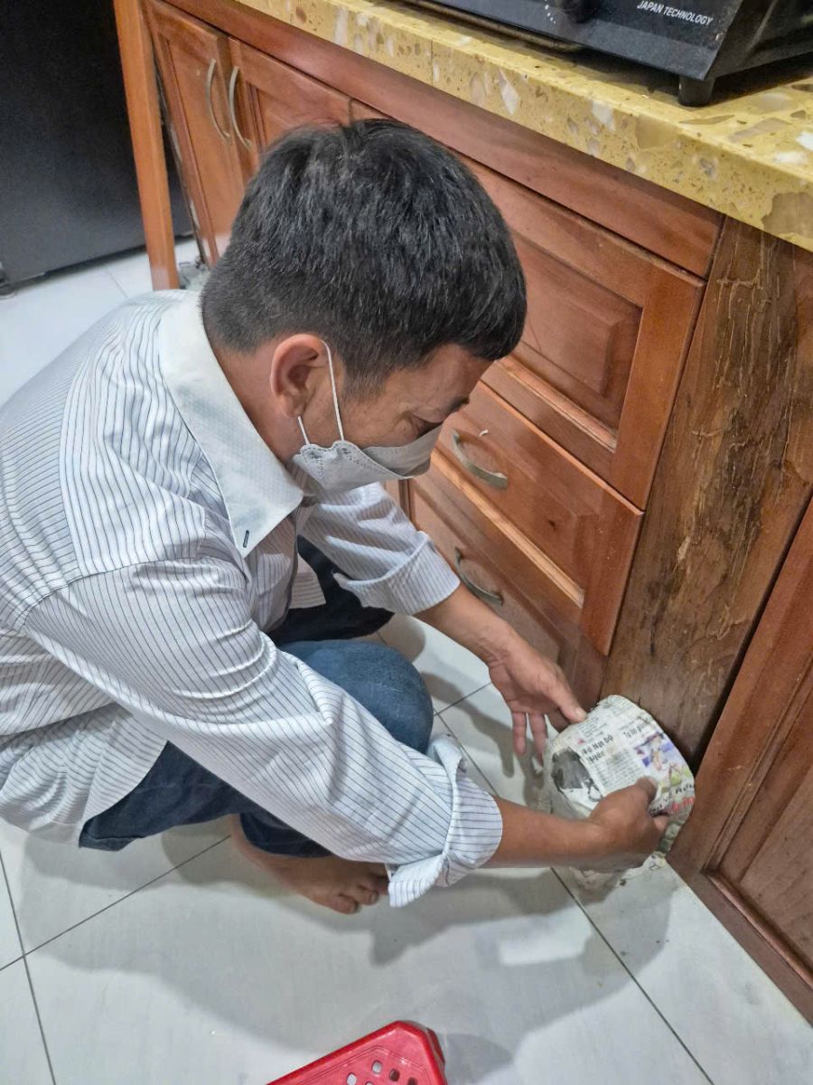 Diệt mối tận gốc tại Vĩnh Long
