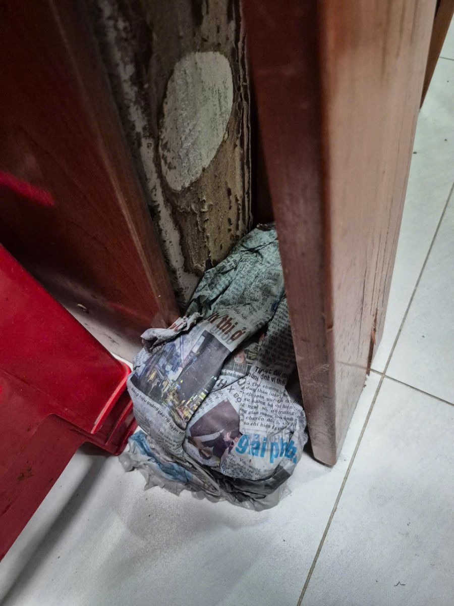 Dịch vụ diệt côn trùng uy tín tại Vũng Tàu