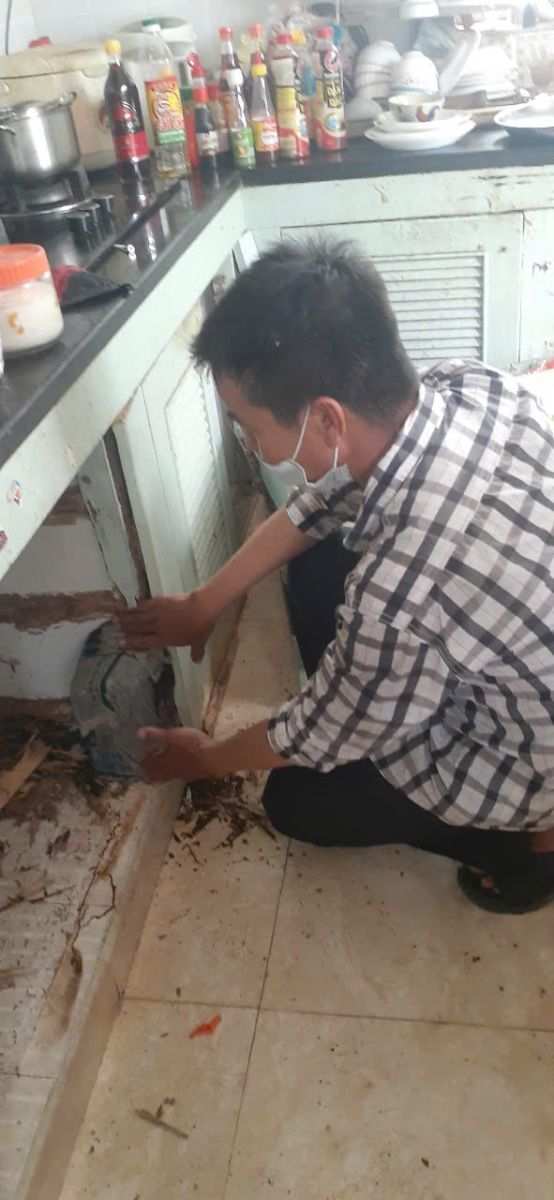 Diệt mối tận gốc Phú Nhuận