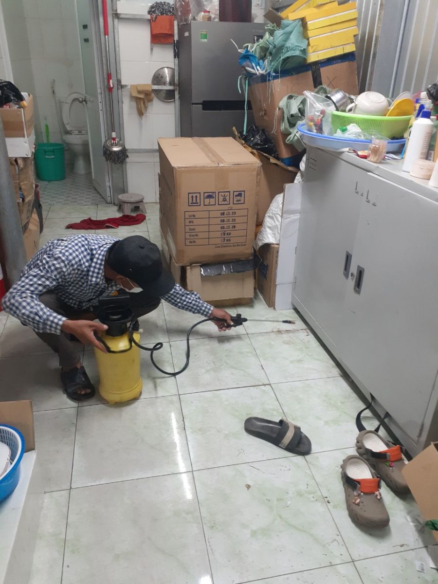 Diệt mối tận gốc Gò Vấp