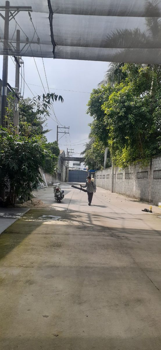 Phun diệt muỗi kho xưởng Long An
