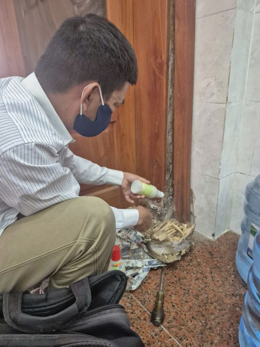 Dấu hiệu mối tấn công và cách chọn đơn vị diệt mối tại quận 5 uy tín