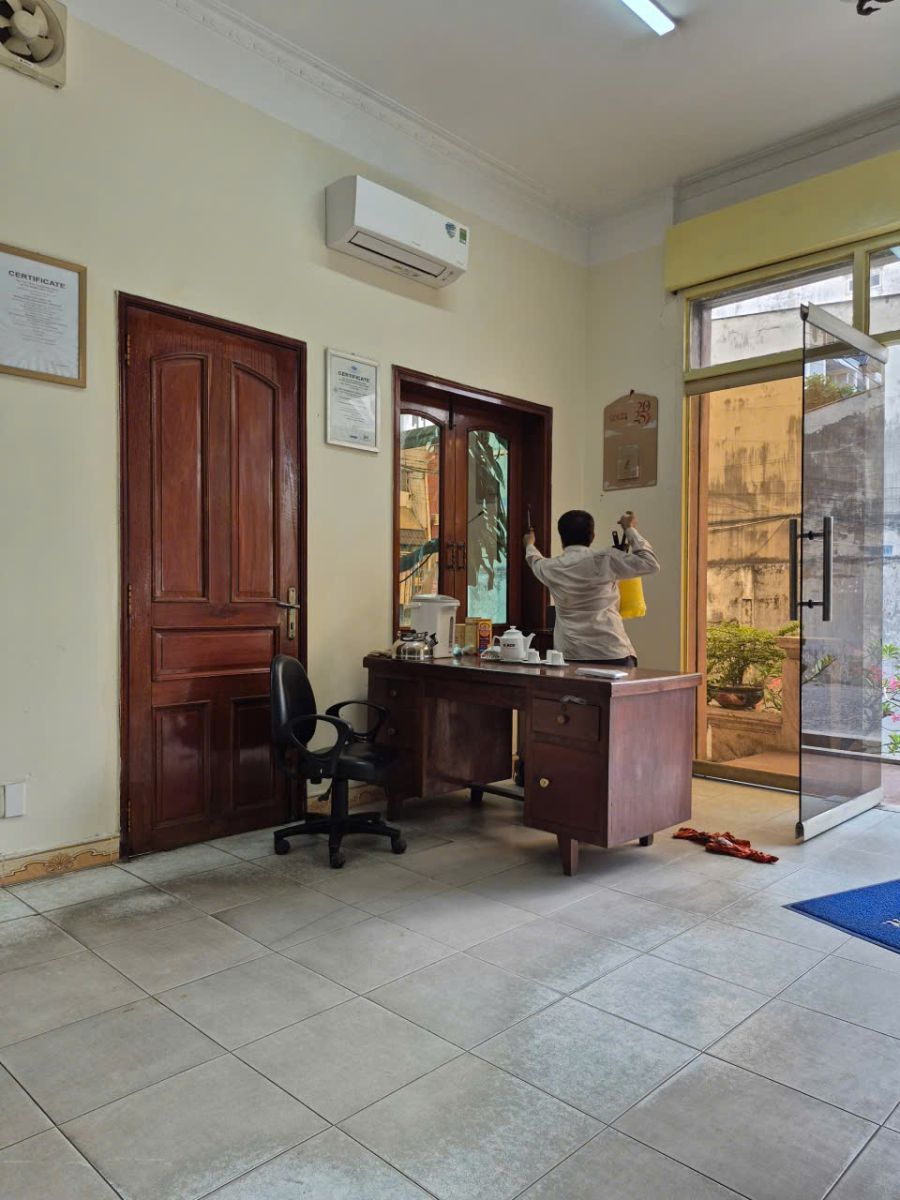 Quy trình dịch vụ diệt mối quận Tân Bình nhanh – an toàn – không độc hại