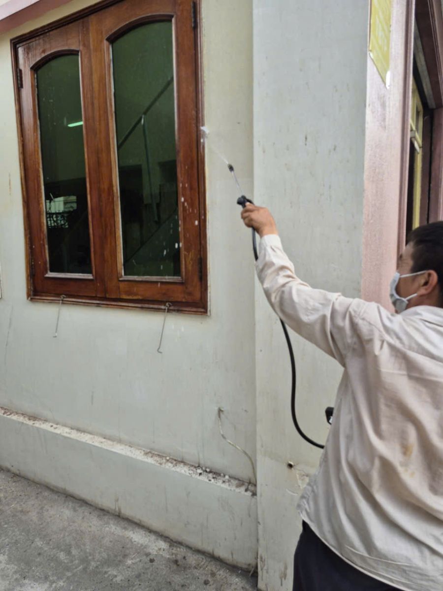 Dấu hiệu nhận biết mối đang tấn công nhà bạn