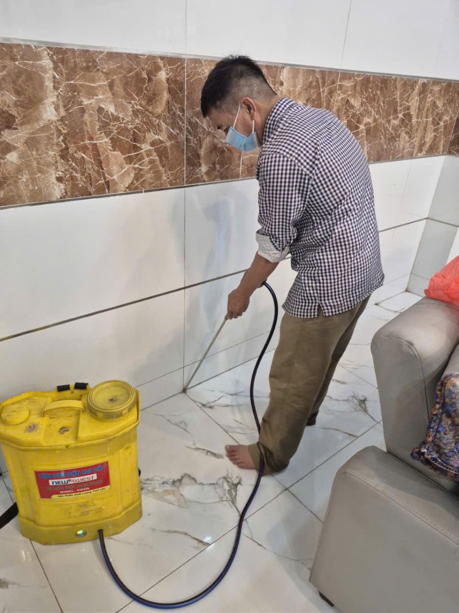 Minh Hiền cung cấp dịch vụ diệt mối tại quận 3 uy tín