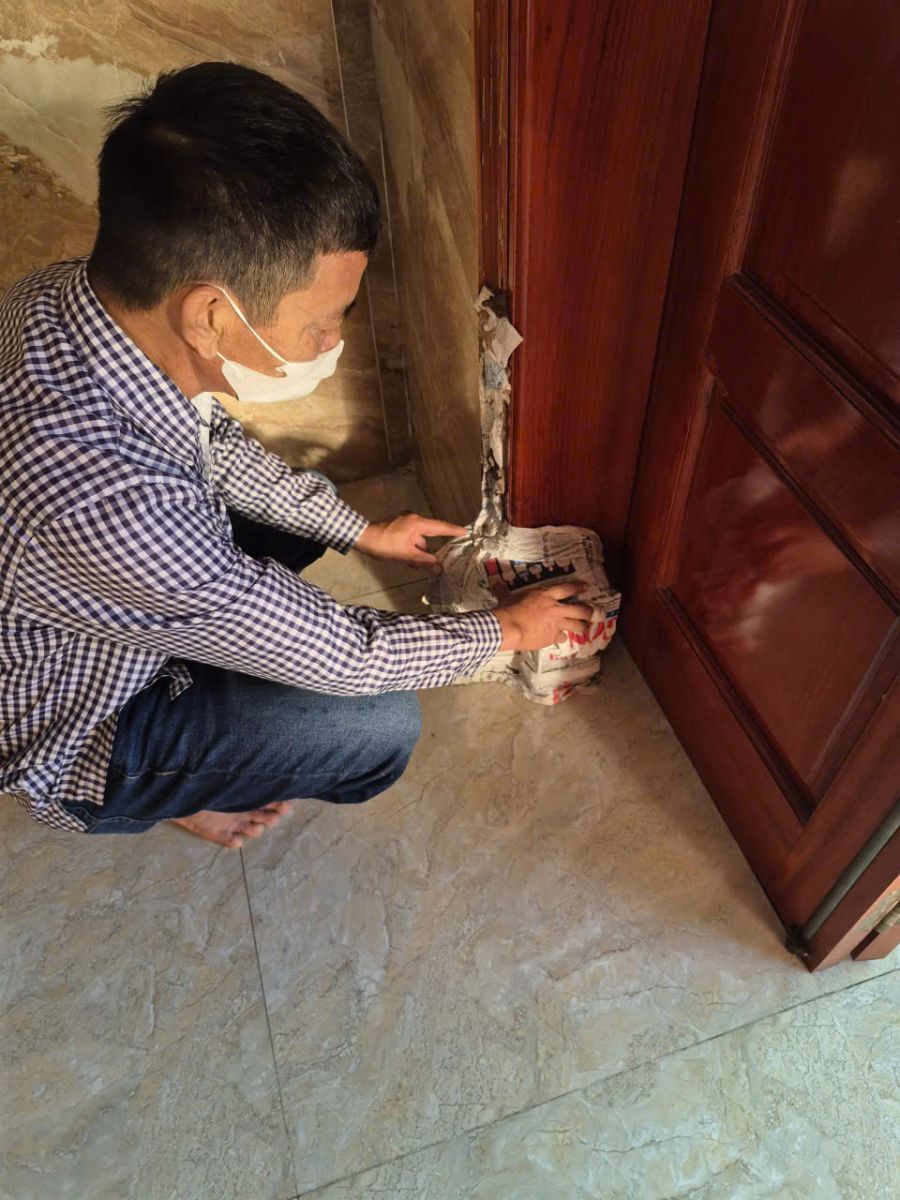 Dịch vụ diệt mối tại Hóc Môn áp dụng phương pháp sinh học an toàn 