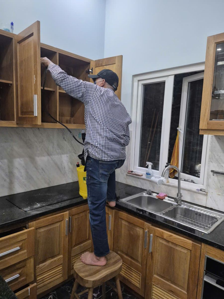 Dịch vụ diệt mối tại Nhà Bè ra đời để đáp ứng nhu cầu đa dạng của nhiều nhóm khách hàng khác nhau.