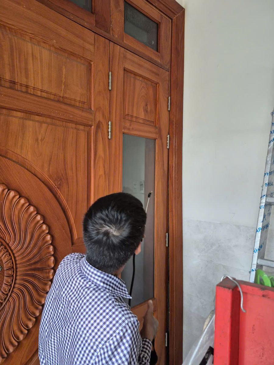 Diệt mối tận gốc Gò Vấp – Giải pháp bảo vệ ngôi nhà toàn diện, không lo tái phát