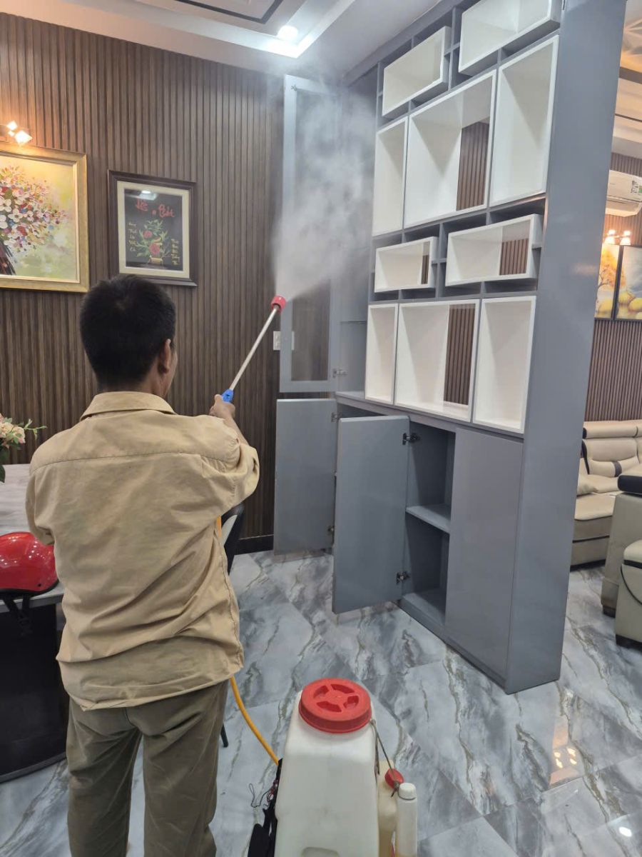 Diệt mối Nhà Bè nhanh chóng, đúng kỹ thuật là giải pháp quan trọng để bảo vệ tài sản