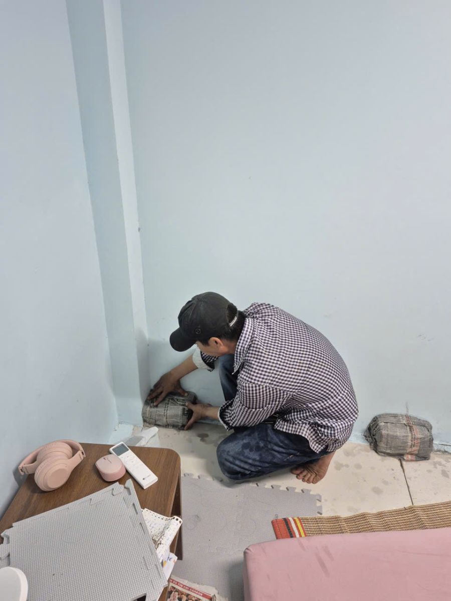 Minh Hiền cung cấp dịch vụ diệt mối tại quận 7 uy tín chuyên nghiệp