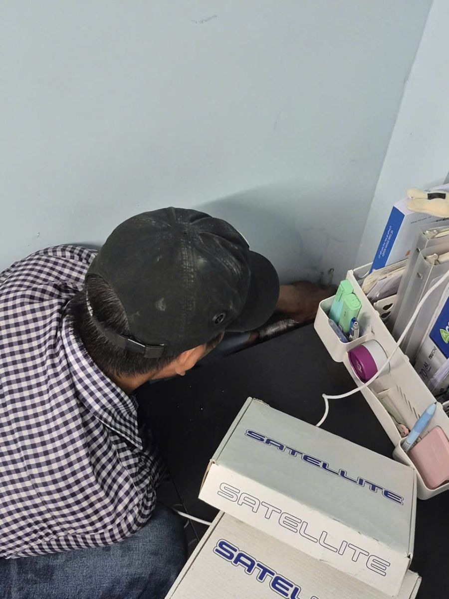 Quy trình diệt mối tại Minh Hiền nhanh chóng đảm bảo