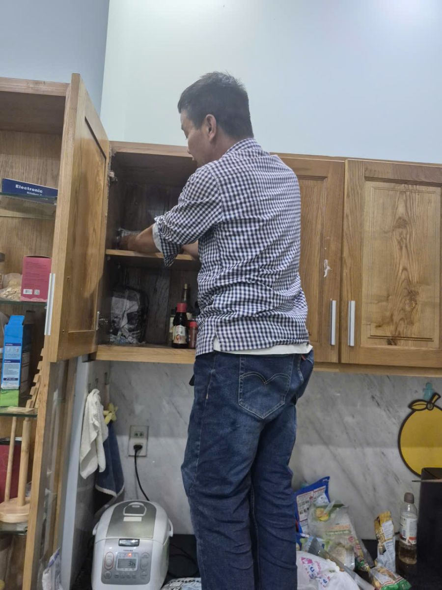 dịch vụ diệt mối Tiền Giang ra đời như một giải pháp thiết yếu