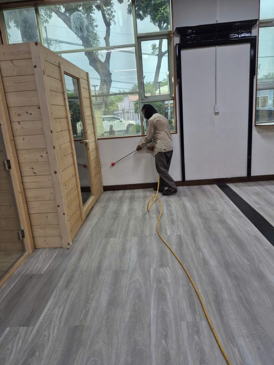 Minh Hiền cung cấp dịch vụ diệt mối quận 2 chuyên nghiệp uy tín 