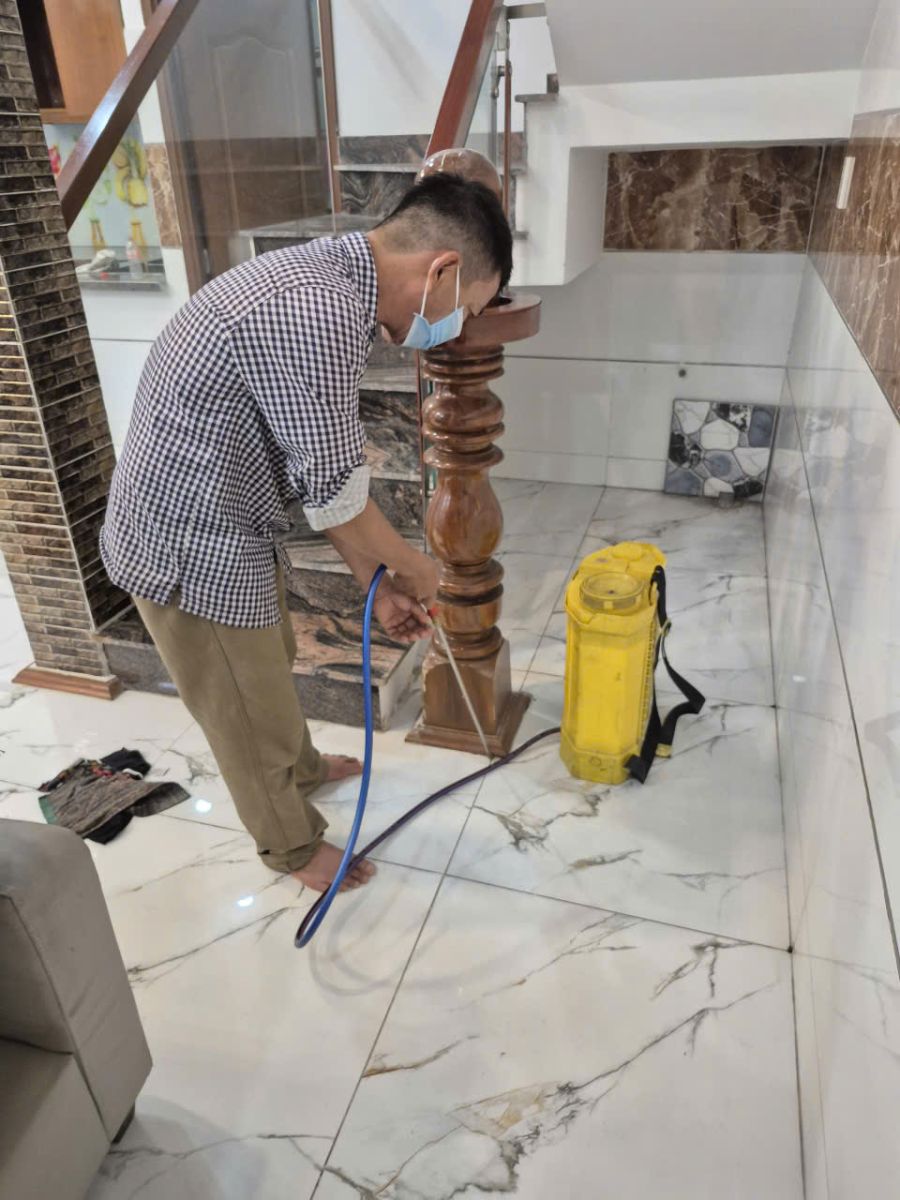 công ty diệt mối quận Bình Thạnh uy tín là bước quan trọng để bảo vệ tài sản và đảm bảo an toàn lâu dài.