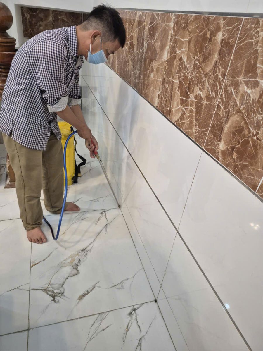 Diệt mối tại quận 9 bằng công nghệ sinh học an toàn