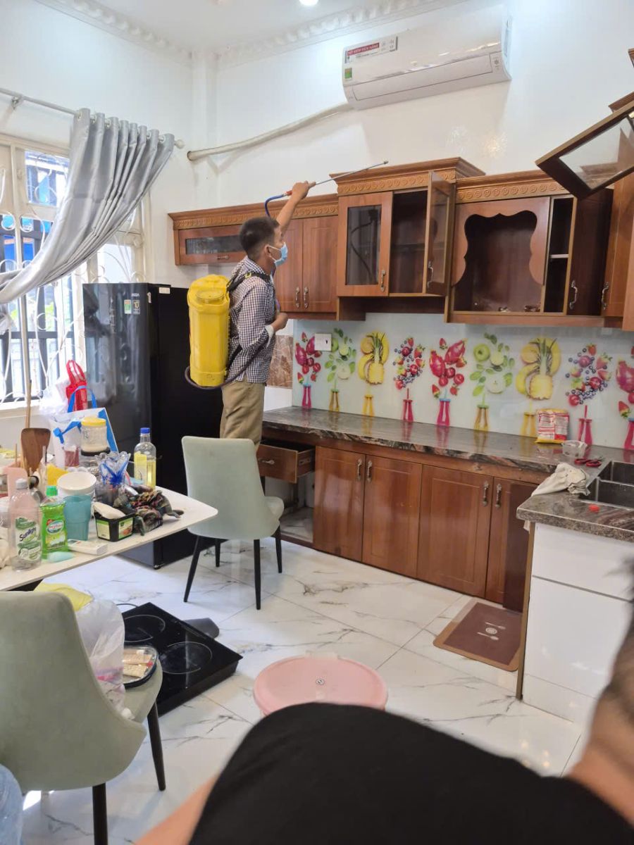 Minh Hiền áp dụng phương pháp diệt mối bằng công nghệ sinh học 