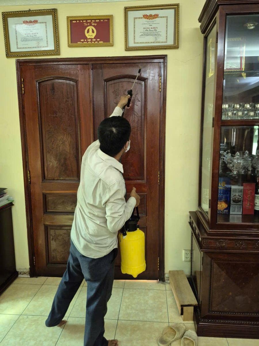 Top dịch vụ diệt mối tại quận 6 được khách hàng tin chọn