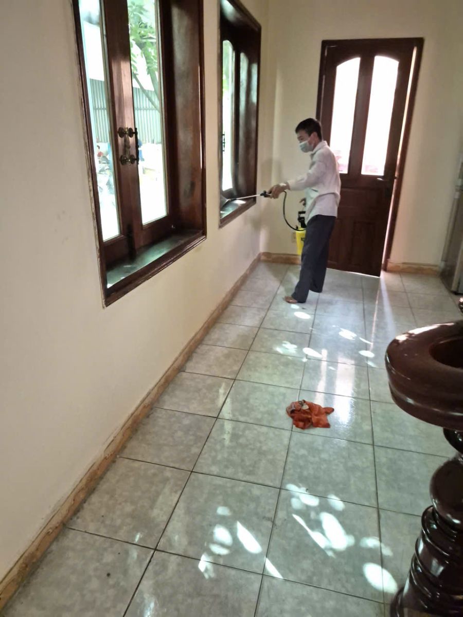 Quy trình diệt mối tại quận 6 nhanh chóng đảm bảo