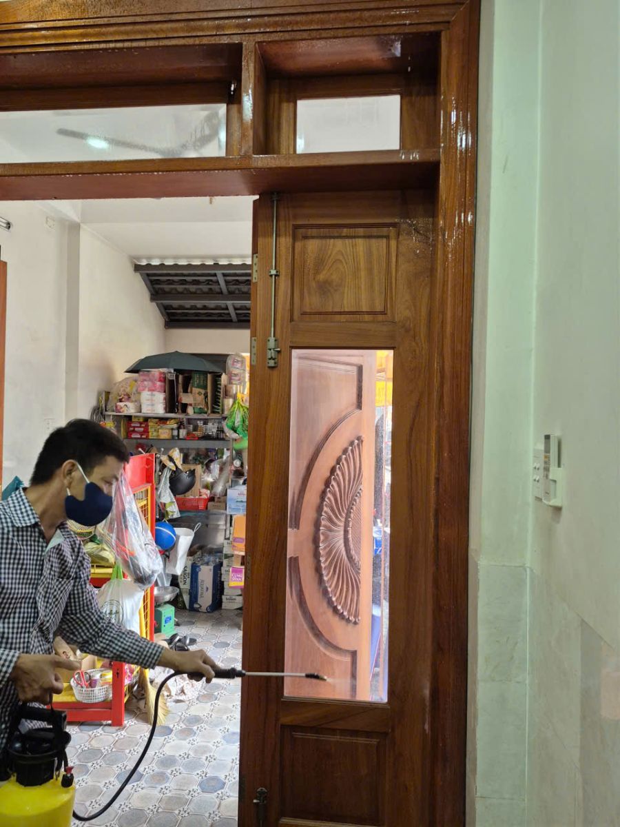 Quy trình diệt mối tận gốc tại Cần Giờ của minh Hiền đảm bảo uy tín