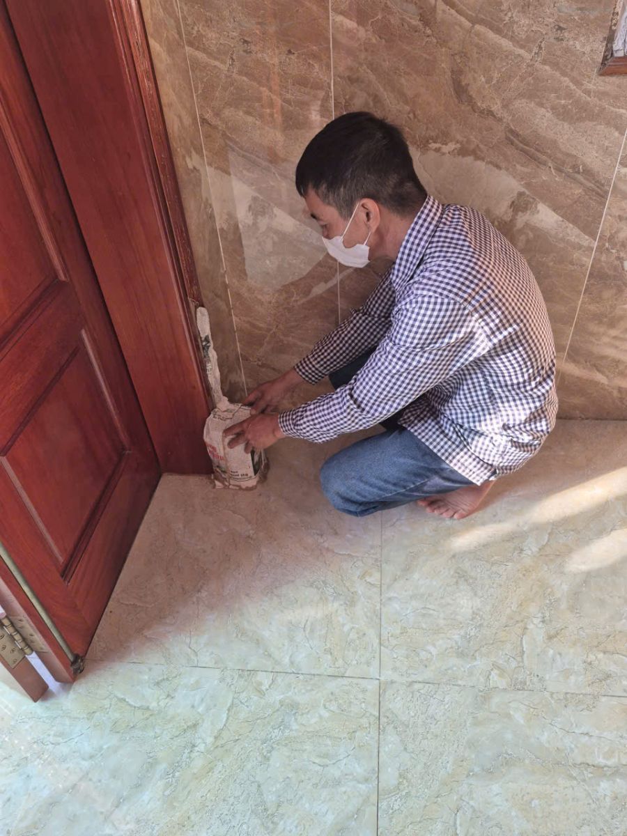 Mối xuất hiện nhiều ở khu vực Cần Giờ