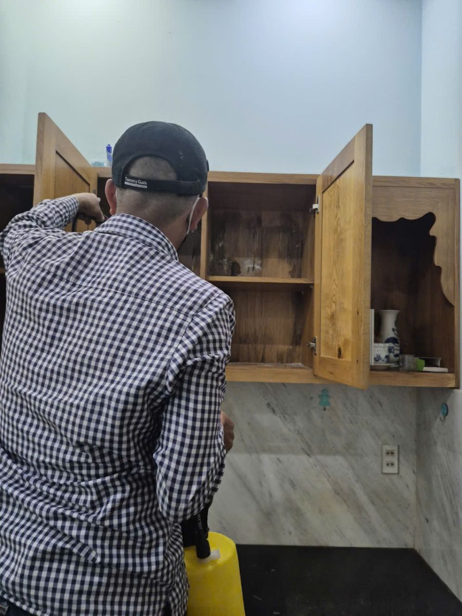 Dịch vụ diệt mối tận gốc Tân Phú đảm bảo uy tín