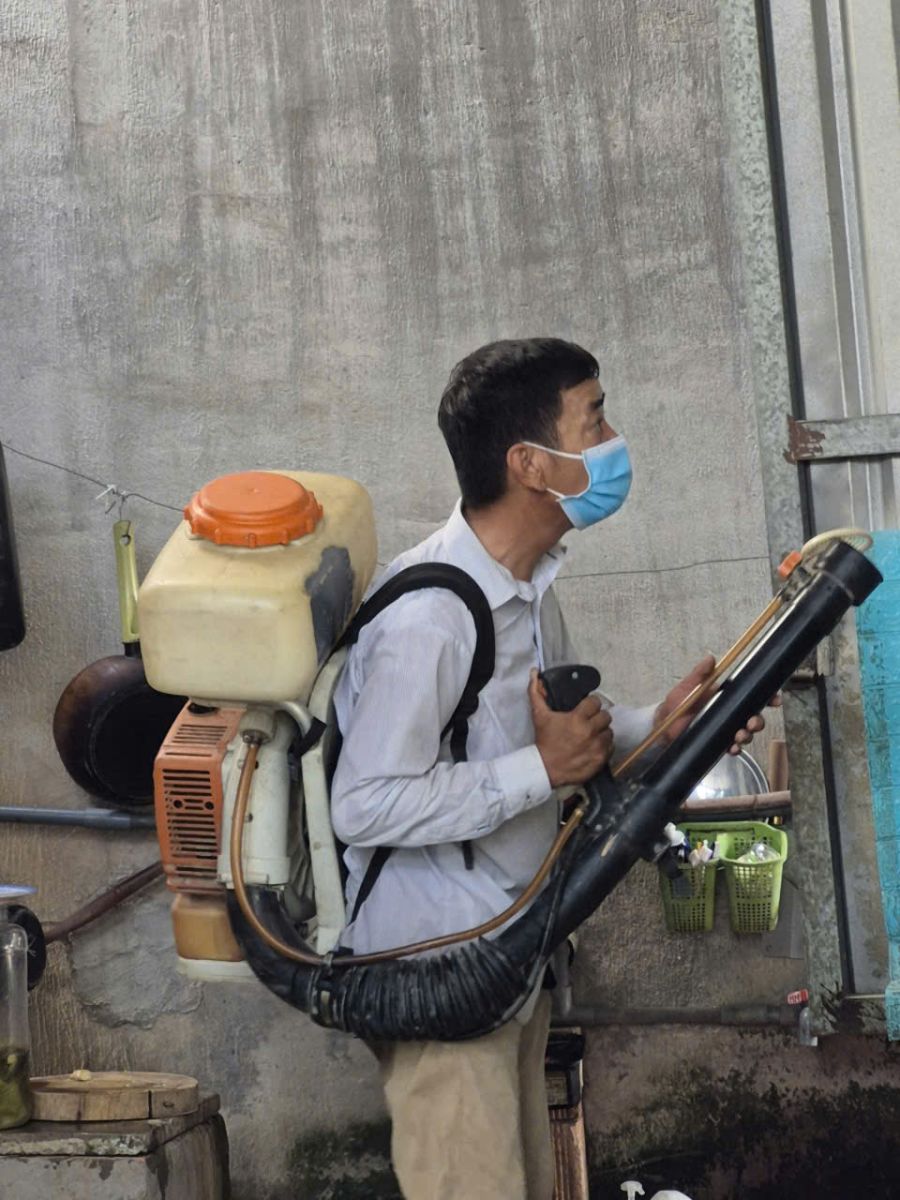 Diệt muỗi tận gốc tại nhà HCM – Bí quyết phòng ngừa sốt xuất huyết hiệu quả