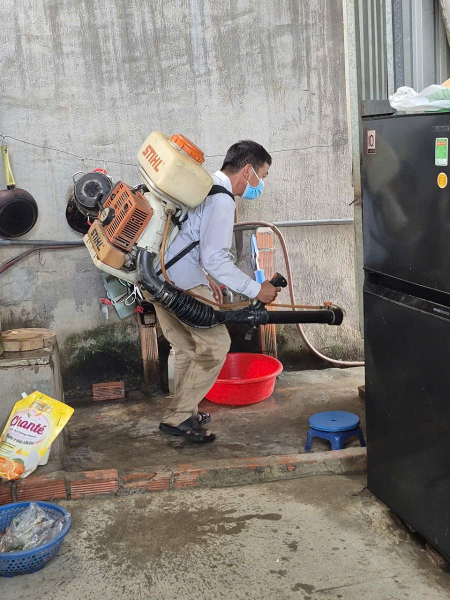 Dịch vụ diệt muỗi tận gốc HCM xử lý triệt để, đảm bảo không tái phát.