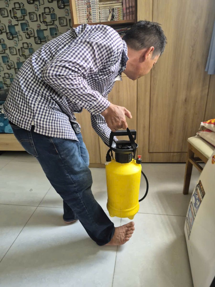 Mẹo xử lý mối mọt tại nhà HCM bằng phương pháp an toàn, không độc hại