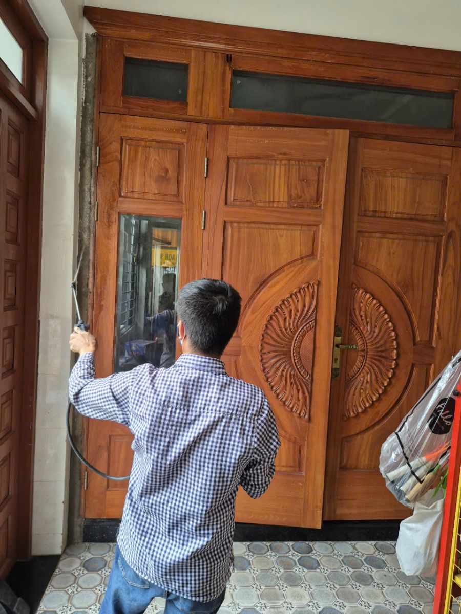 Dịch vụ diệt mối tận gốc Bình Dương uy tín chất lượng